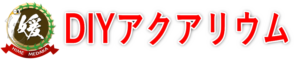 DIYアクアリウム
