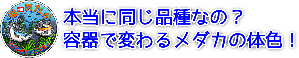 メダカの背地反応・拡散凝集反応・保護色機能について