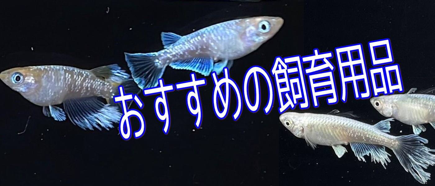 メダカの飼育グッズ紹介