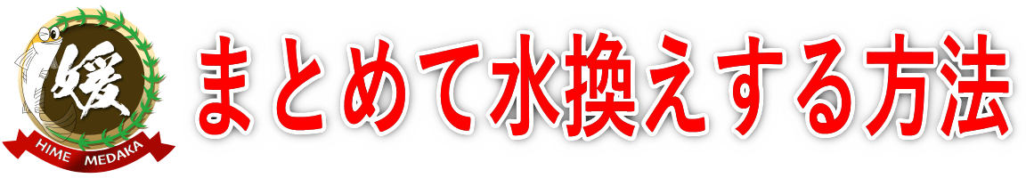 まとめてメダカ容器を水換えする方法（OF式一括足し水）