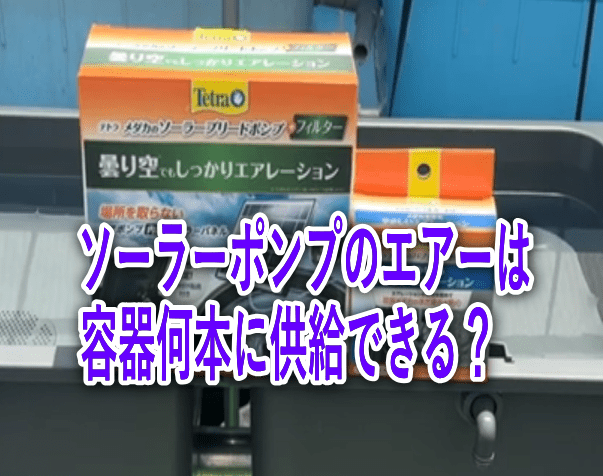 ソーラーポンプで酸欠対策