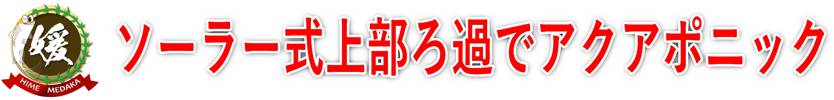 メダカとアクアポニック～屋外上部ろ過層の作り方～