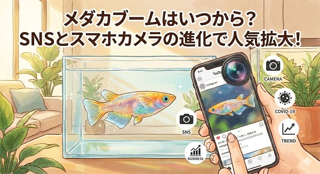 メダカブームはいつから？SNSとスマホカメラの進化で人気拡大！