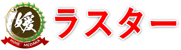 メダカの品種ラスター