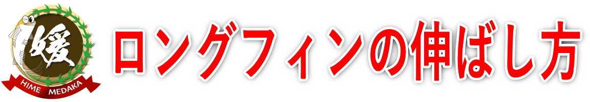 ロングフィンの伸ばし方！ヒレ長メダカは加温しないと鰭（ヒレ）が伸びない？