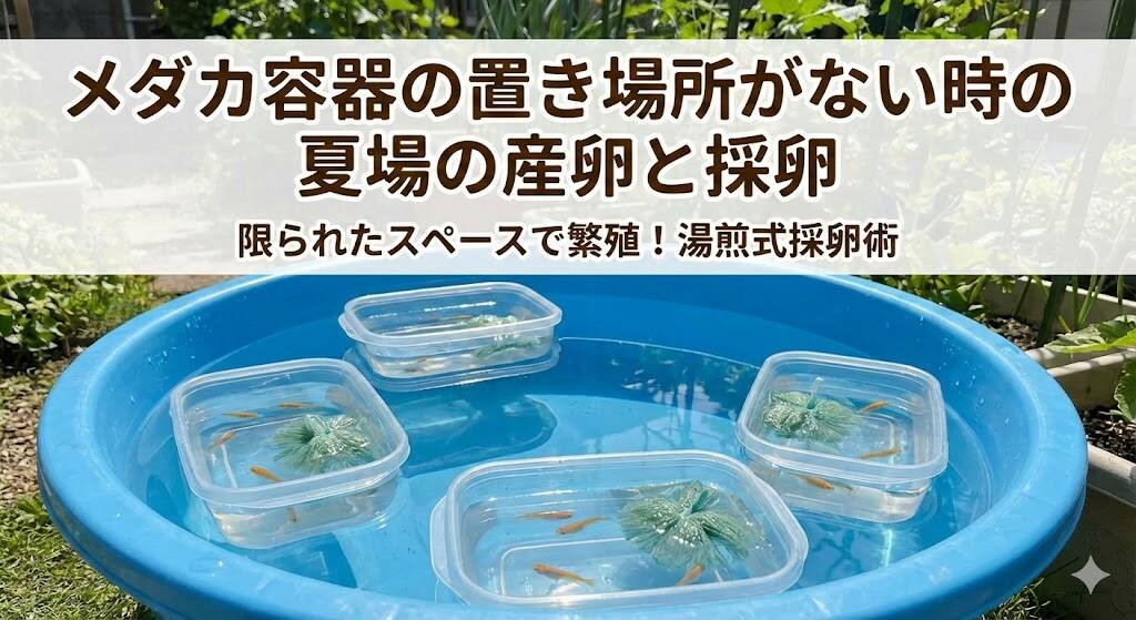 容器の置き場所がない時の採卵方法