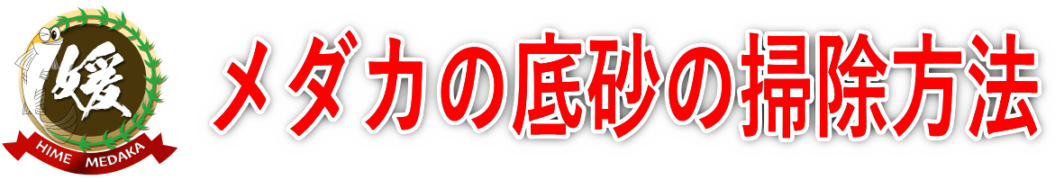 メダカの底砂掃除～底床クリーナーを使い方と目的別の洗い方～