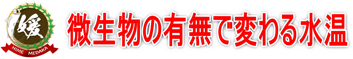 微生物と水温変化｜寒波到来でメダカが全滅？冬越し準備で秋の水づくりが大切な理由
