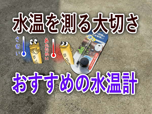 メダカ飼育におすすめの水温計