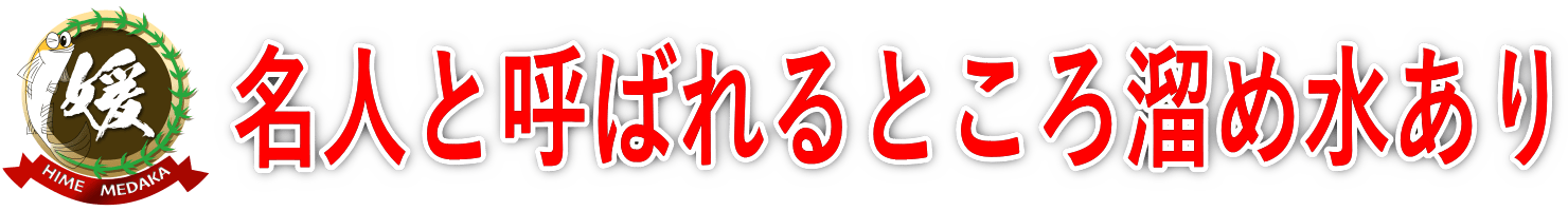 メダカ飼育の基本：溜め水から始める理想の水作りと塩素除去の極意