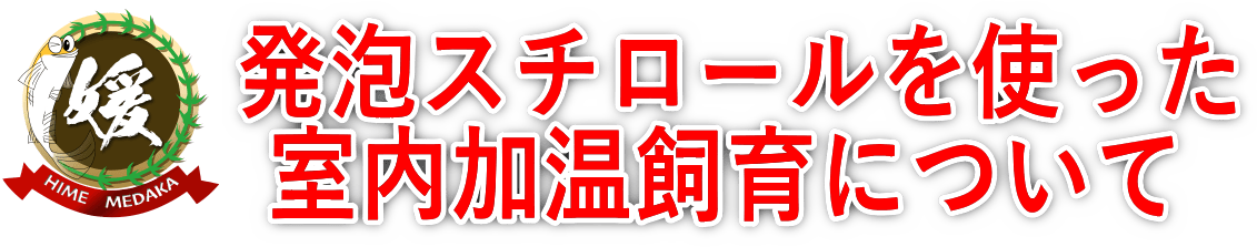 メダカの室内加温飼育における発泡スチロールの作り方