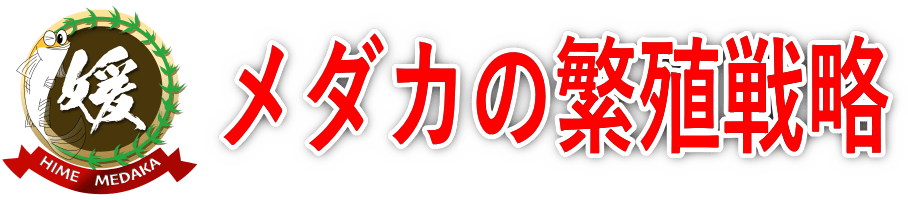 卵と生物の繁殖戦略～小卵多産（しょうらんたさん）大卵小産（だいらんしょうさん）～