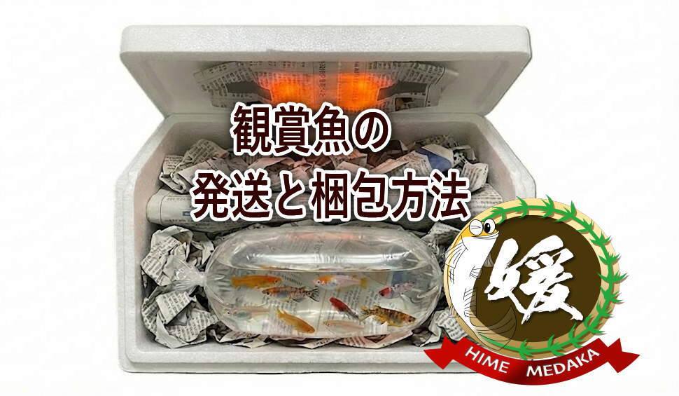 発送と梱包方法について