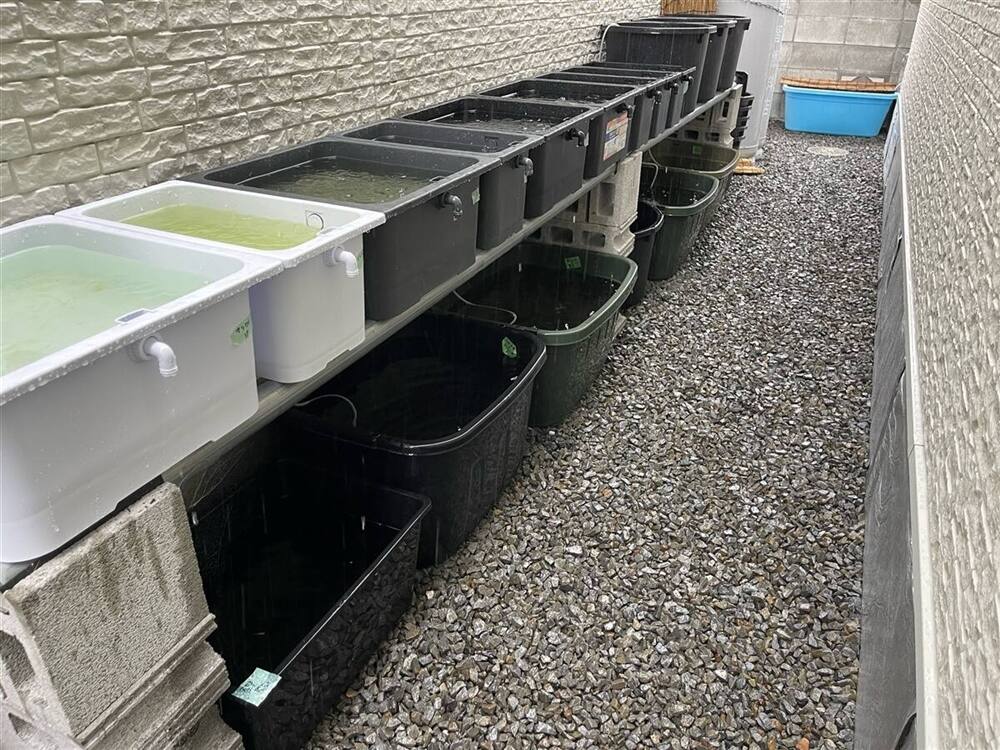 おすすめ容器3選