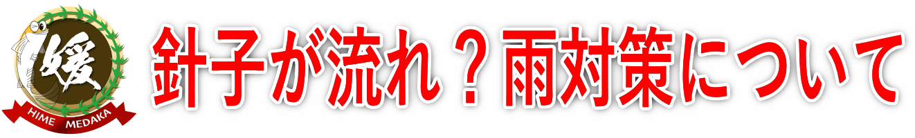 メダカ針子が流れない！？雨の溢れ対策に最適なL型ジョイント簡単加工法
