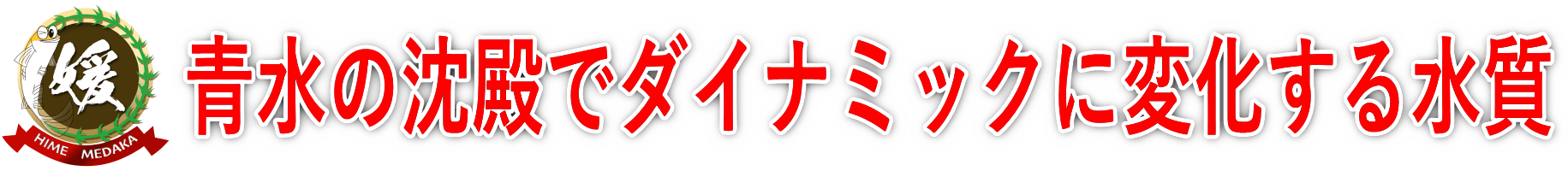 雨や寒波などで青水が沈殿することで激変するグリーンウォーターの水質・pHについて