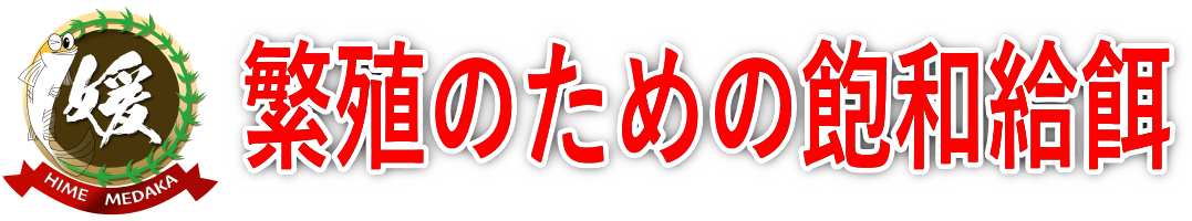 【メダカの増やし方】産卵数が増える「餌」のやり方｜繁殖のコツは肝臓と卵母細胞