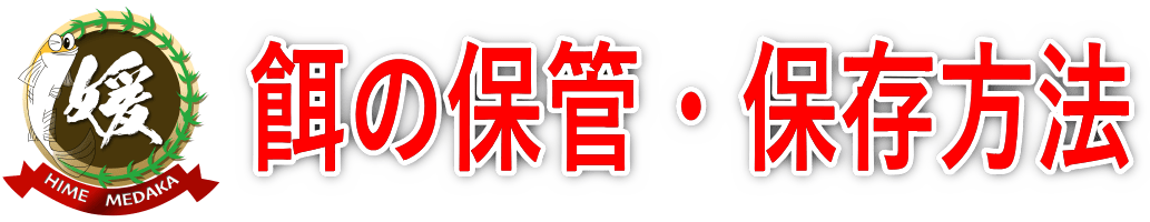 メダカの餌の正しい保管方法｜劣化・カビ・虫を防ぐ保存術